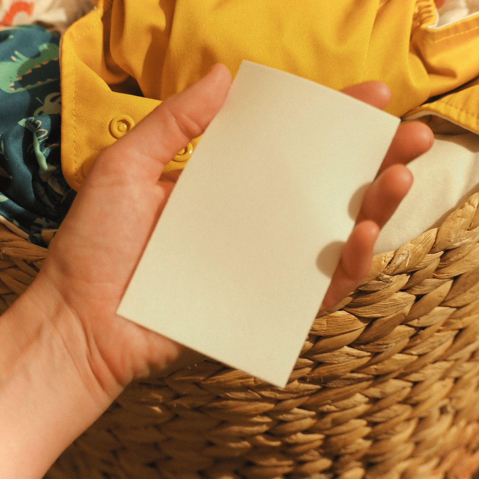 Laundry Detergent Sheets – Chamomile, Eco-Friendly, 48 Strips